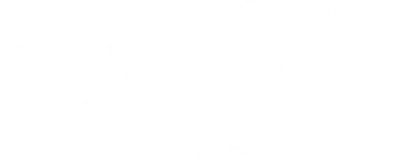 bodegassalas.com